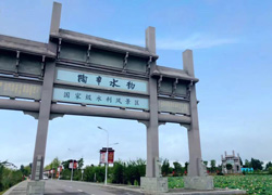 安徽“清雅”景區(qū)，位于蕪湖，景色美得不輸西湖