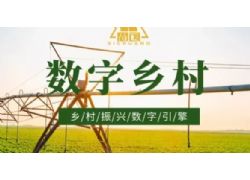安徽省數(shù)字鄉(xiāng)村試點工作現(xiàn)場推介活動（皖南片區(qū)）在蕪湖舉辦