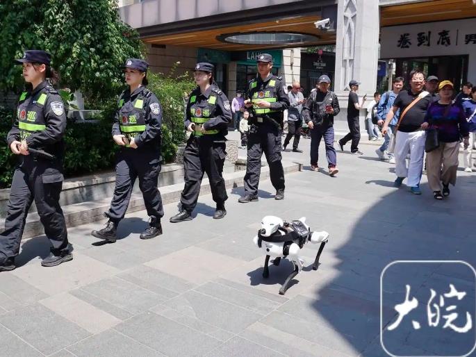 蕪湖：機器警犬首“上崗”助力“五一”安保